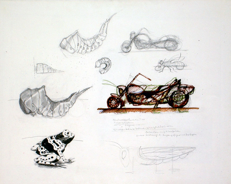 bycofosis5_orig