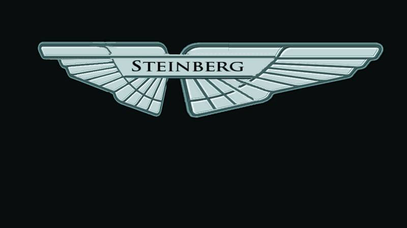 09-steinberg-logo